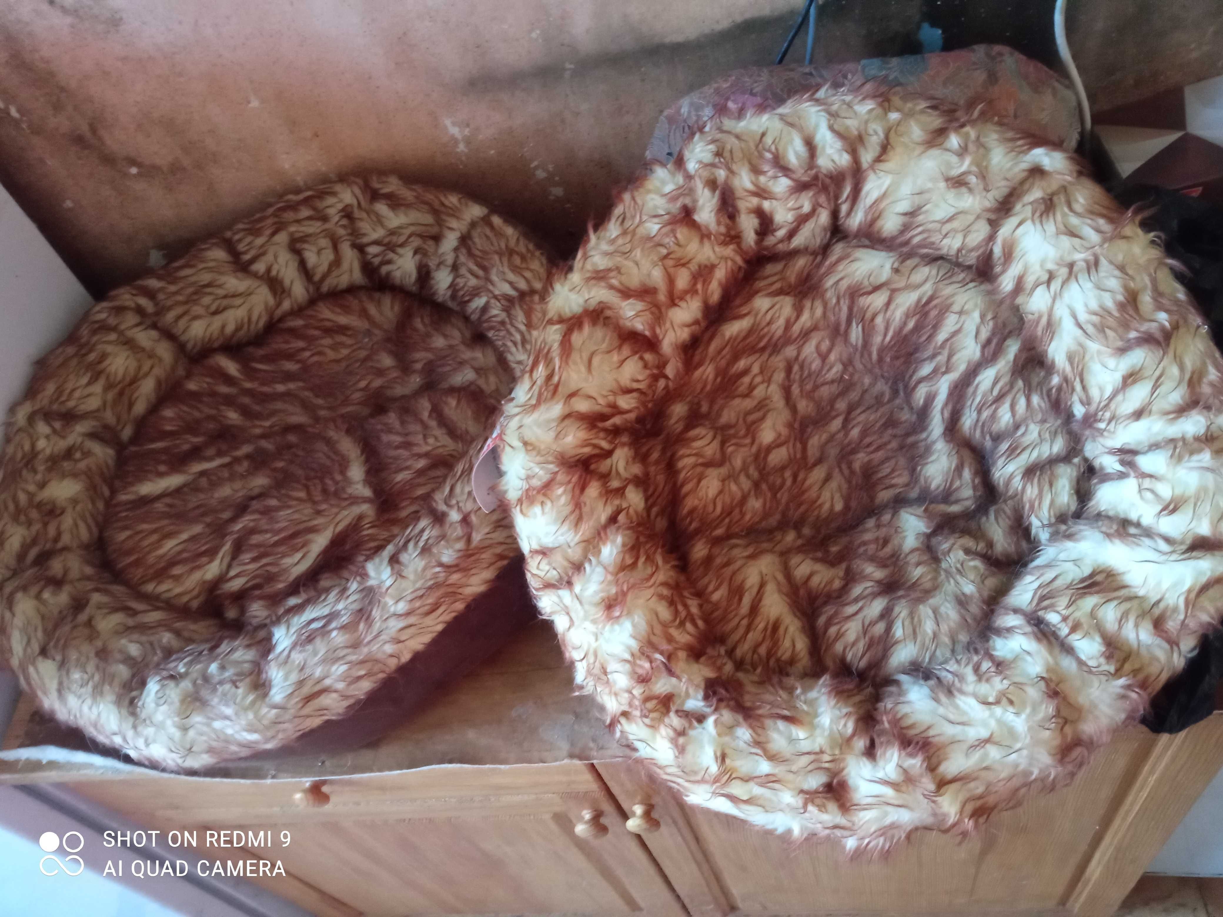 Продавам легълца за коте и малки кученца