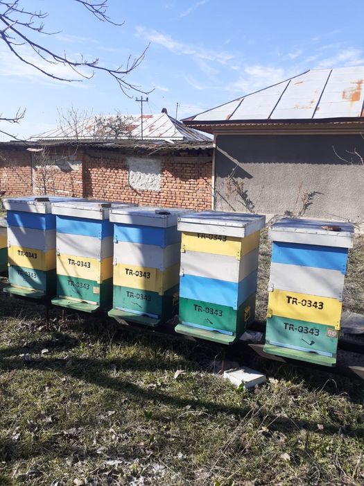 Stupi 1/2 cu fund ativaroa detasabil