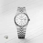 Rolex land dweller