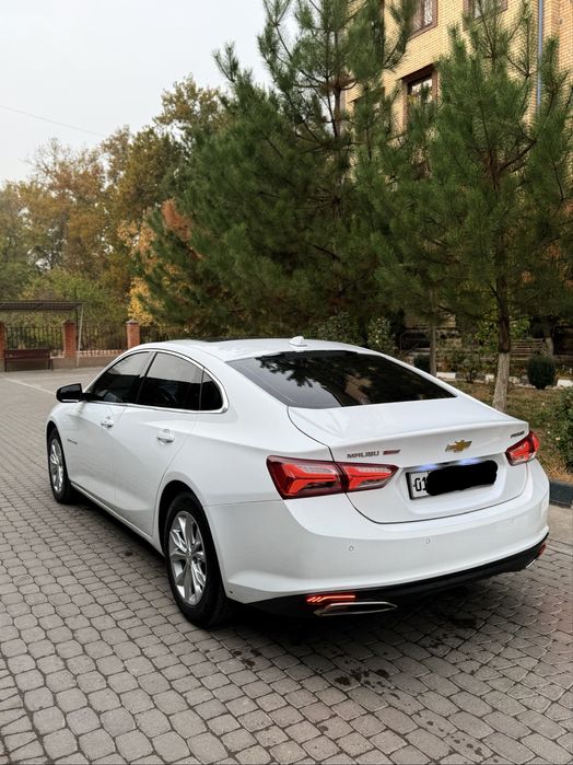 Malibu 2 preimer 2020