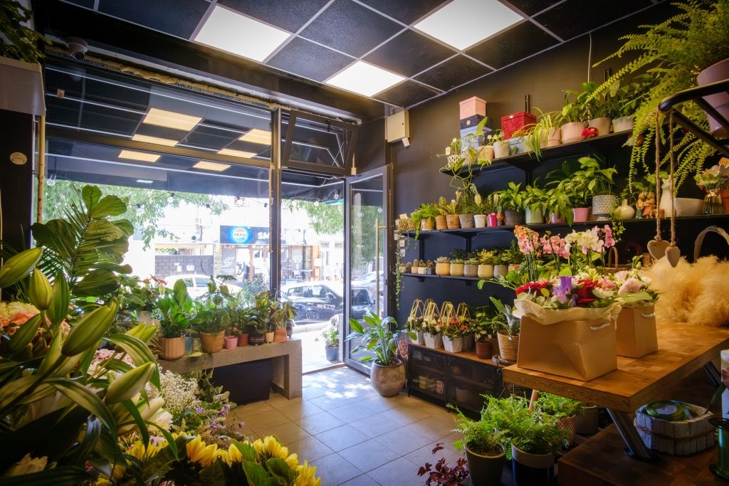 Florărie complet operațională de vânzare – la cheie
Constanța