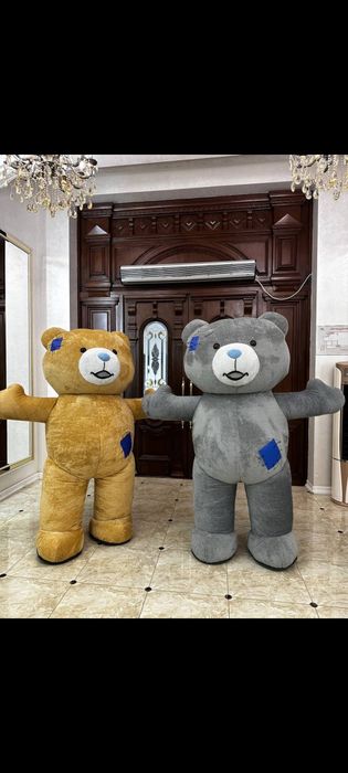 Ayiqlar mishka аниматории мишка 24/7