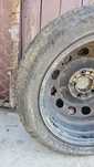 Anvelope iarnă/ m+s 195/55 R16 87H