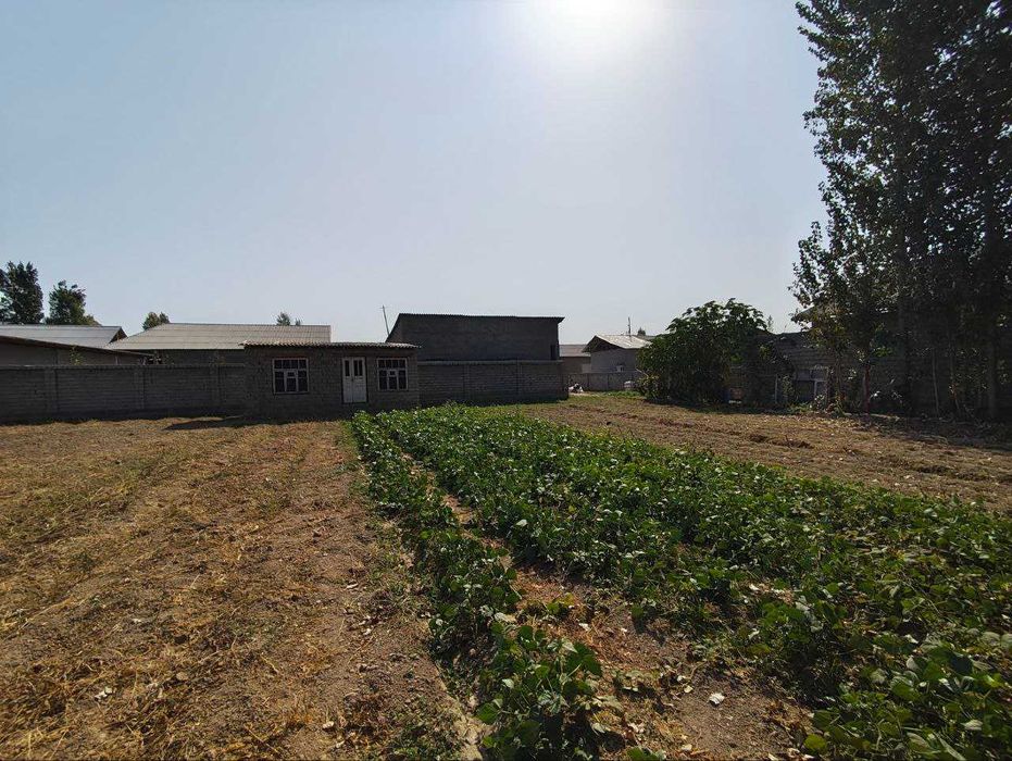 Ер сотилади, Тинчликда, 4 сотихдан, нархи 4500 дан