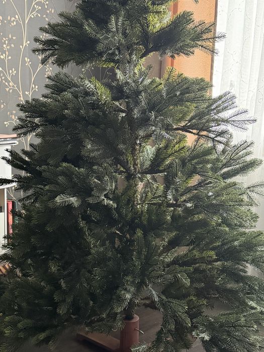 Продам шикарную елку.