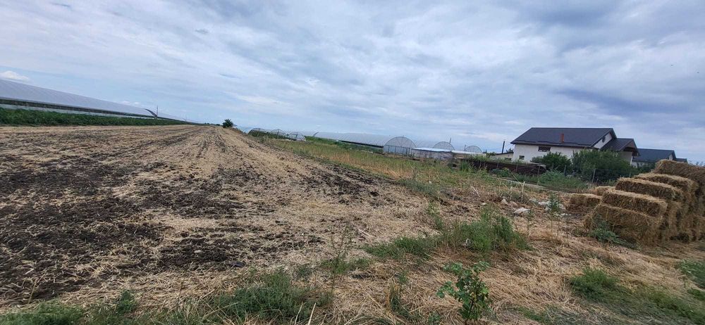 Vand teren in Scarisoara, Olt.