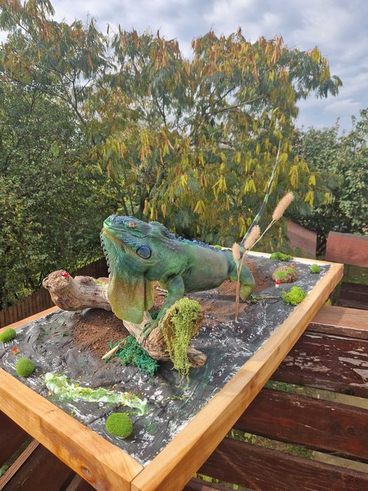 Iguana exotica impaiata