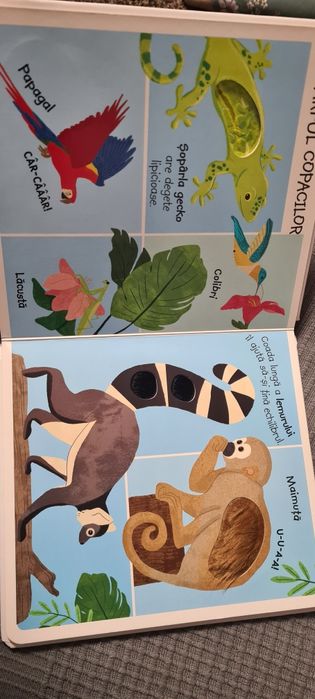 Carte animale sălbatice atinge