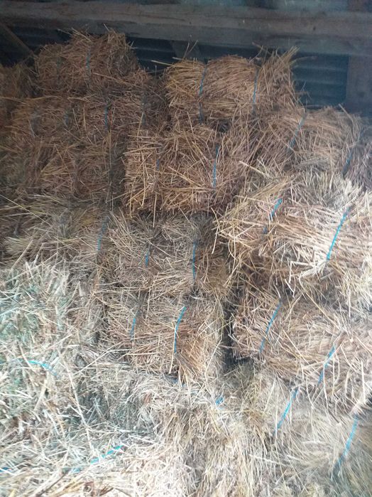 Baloti fin drepunghiular