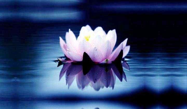 Индивидуални уроци по математика, Пловдив