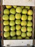 Продам вкусные яблоки "Голоден". Только от 300 кг. Казахстан.