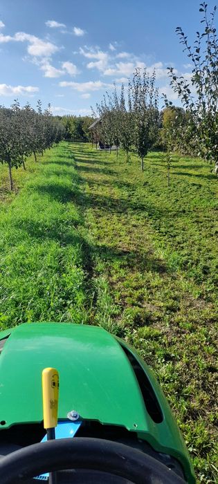 Tractoras de tuns iarba JOHN DEERE L 107