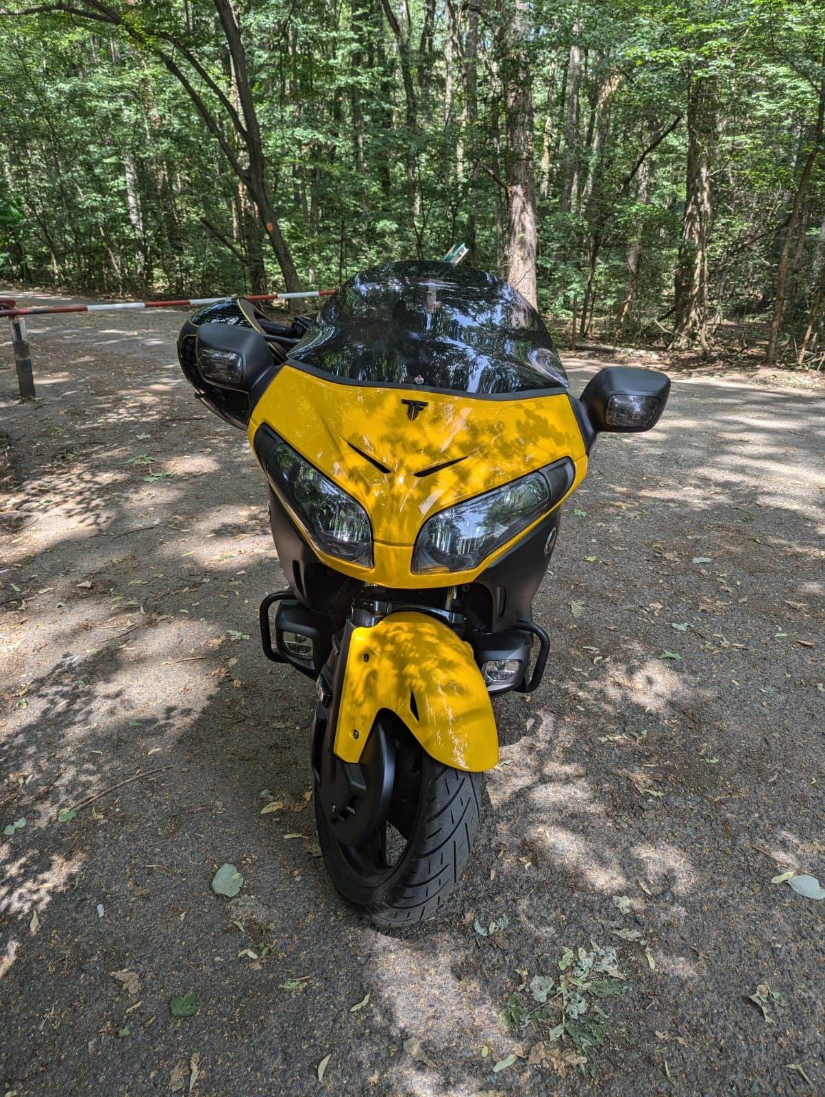 Honda GL 1800 F6B