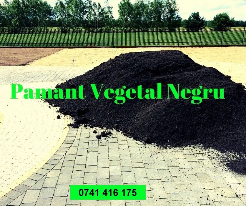 Pamanat negru vegetal Iasi