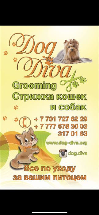 Зоосалон Дог Дива