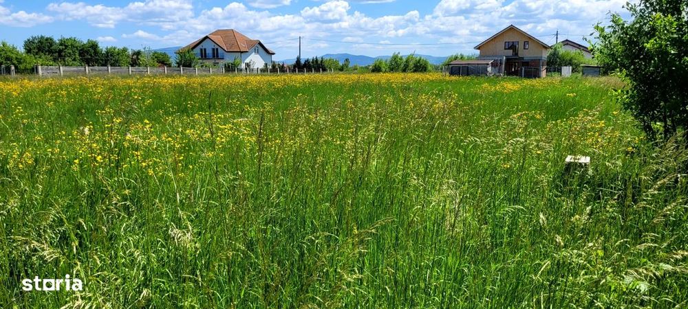 Teren Intravilan de vanzare