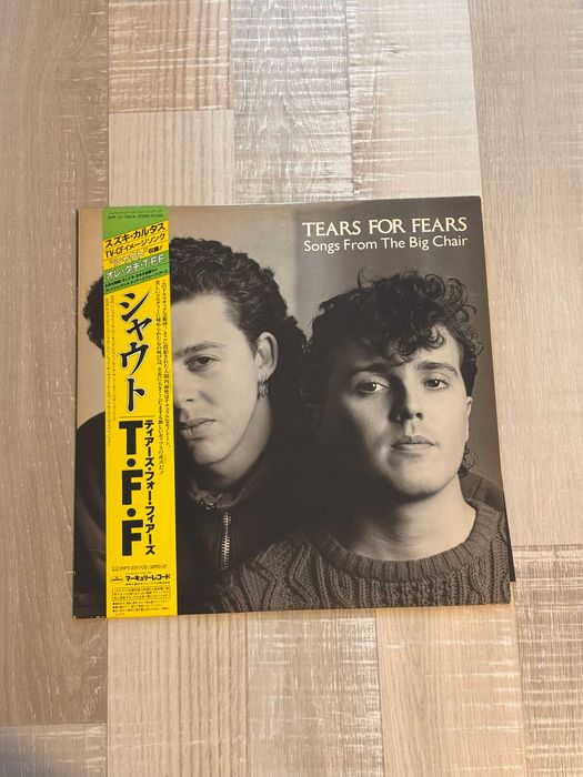 Diverse discuri vinil