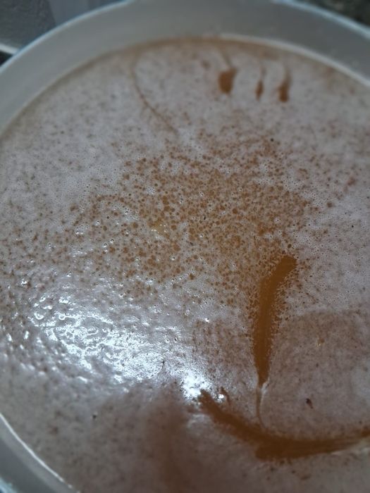 Vând 400 kg miere de salcâm!