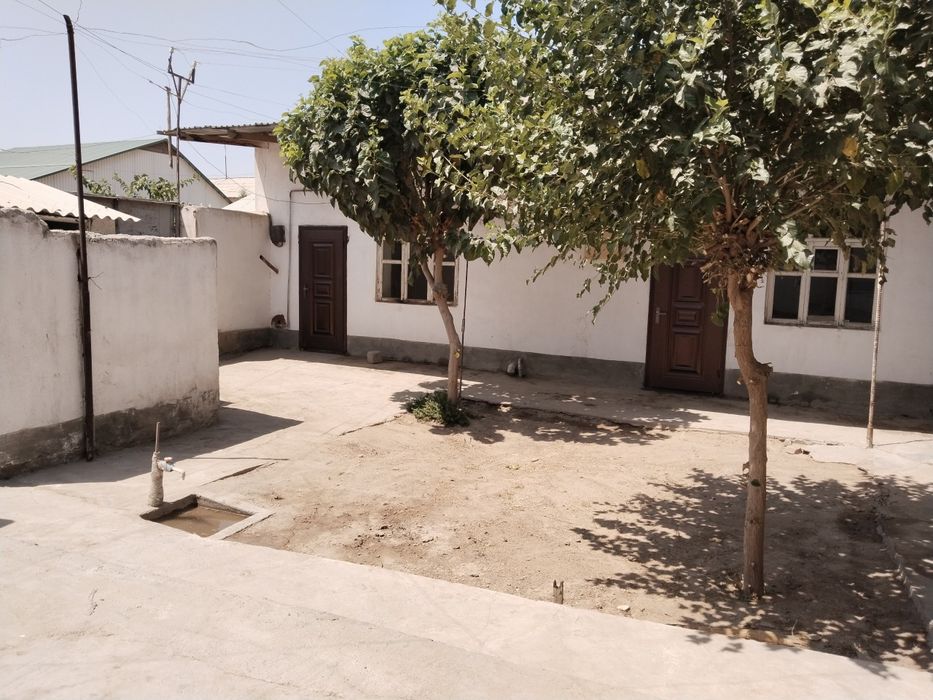 Termiz sh Baynal minal mahallasini tugrisidagi kuchada hovli uy tezda