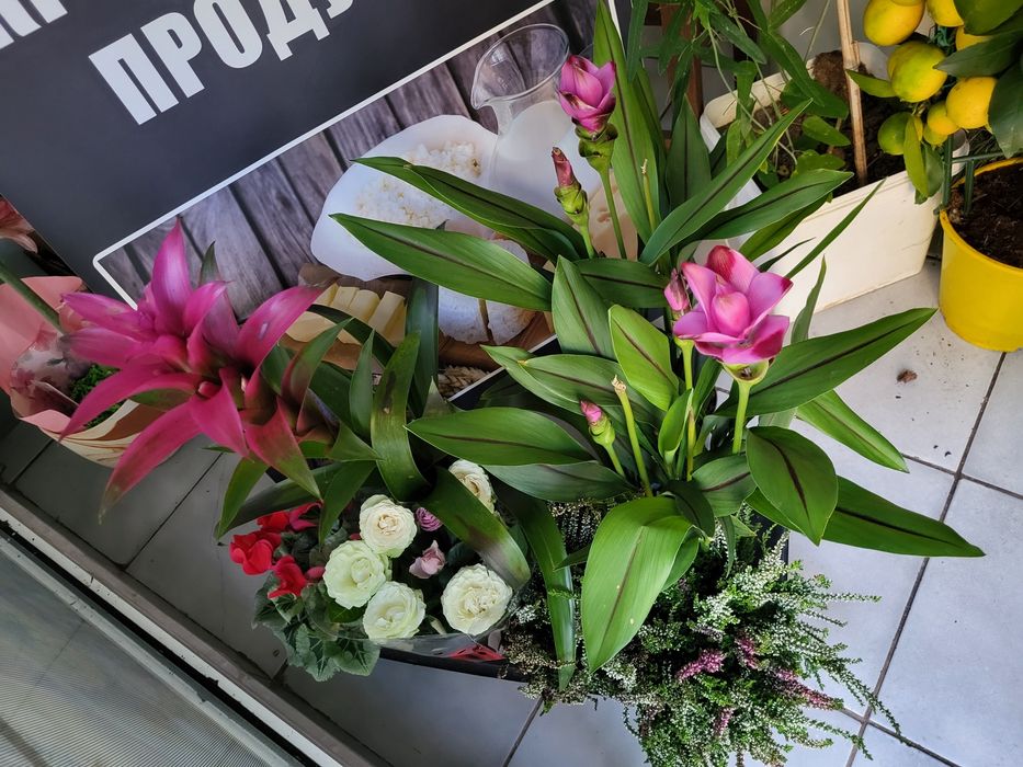 Цветя онлайн  или на място  -ул.Кричим 20