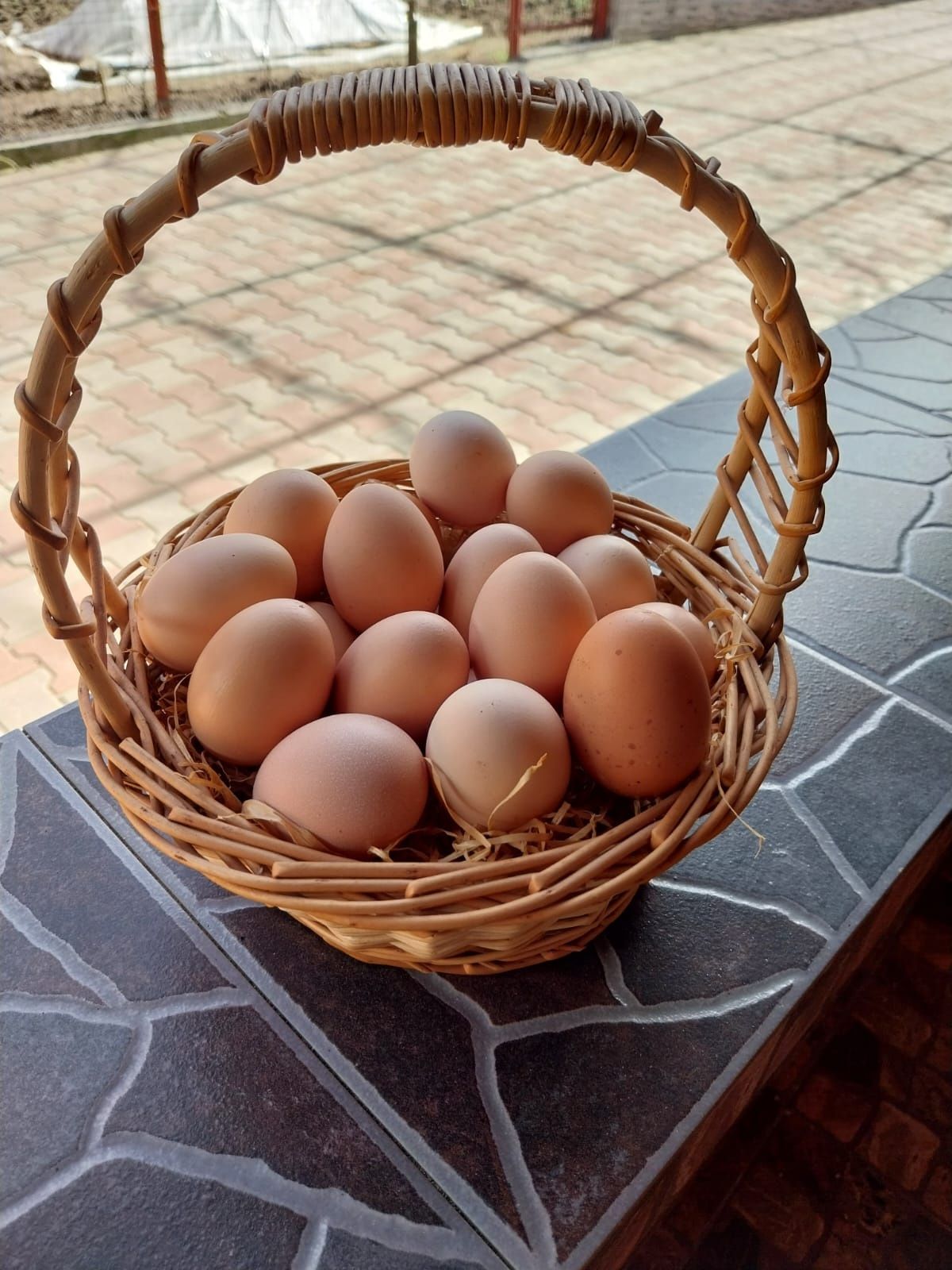 Oua de țară  din găini crescute la sol