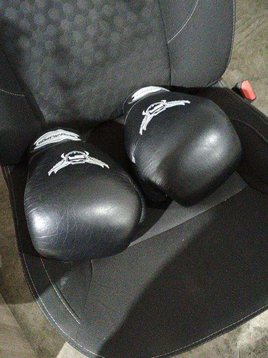 Mănuși de box stare buna