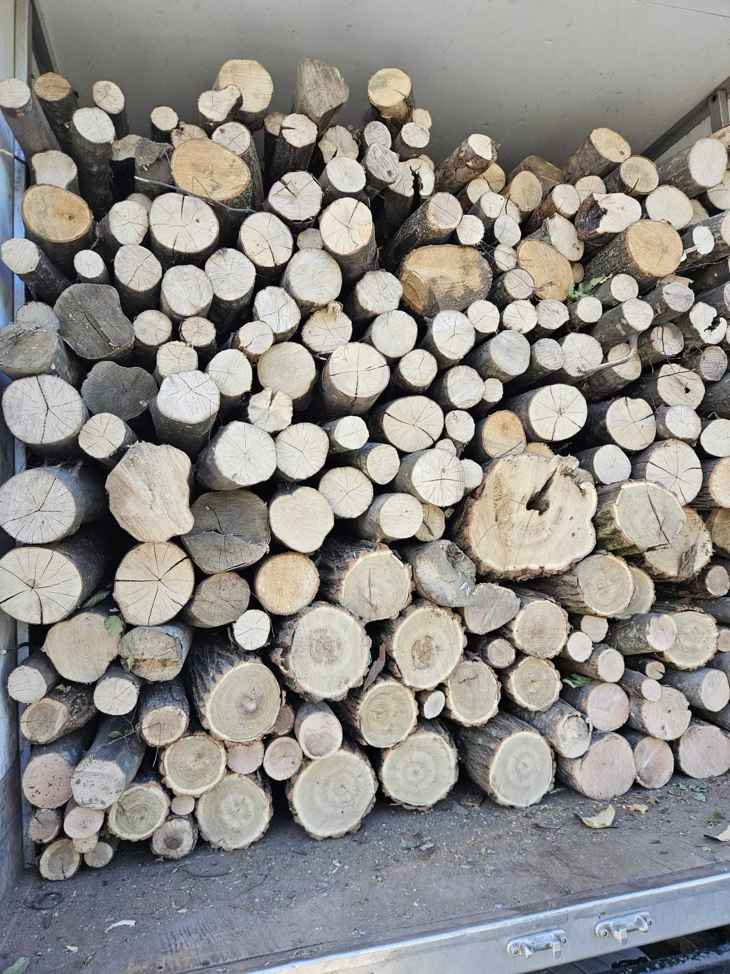 Vand lemne de foc uscate, fag si stejar, ieftine