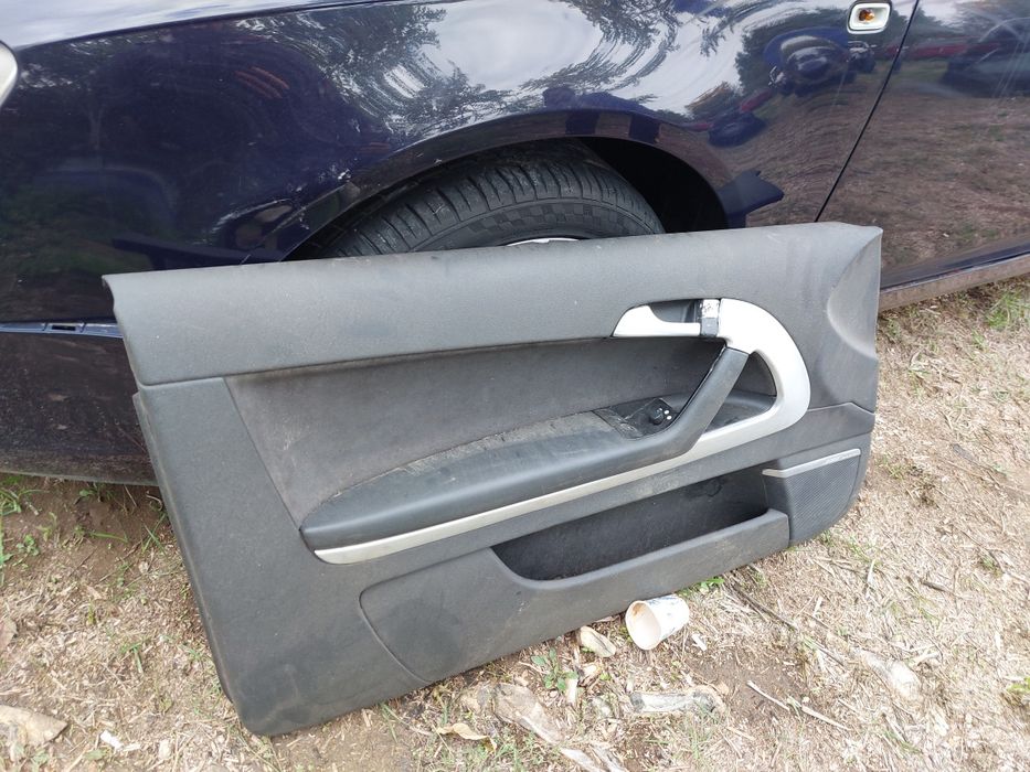 Лява кора за врата Audi A3 8P 2/3 врати