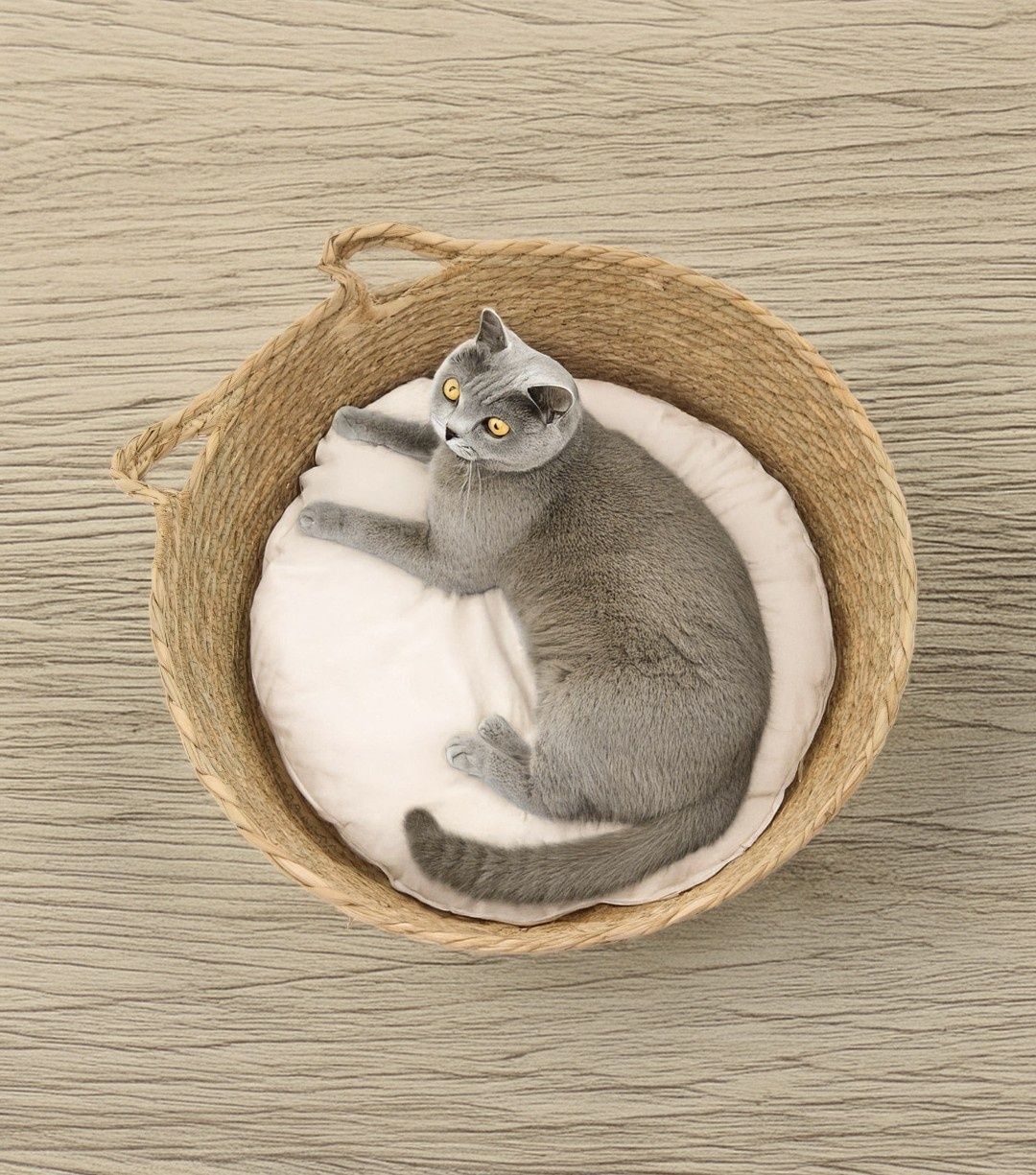 Легло за котки с възглавница