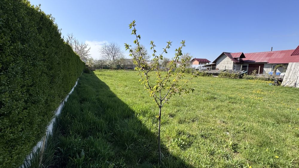 Teren 1000mp Sfantu Ilie str. Pacii nr 2 - Suceva