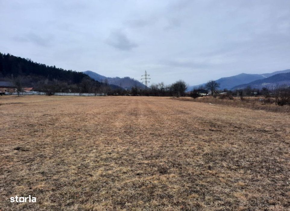 Teren intravilan , 5000 metri Cod:154530