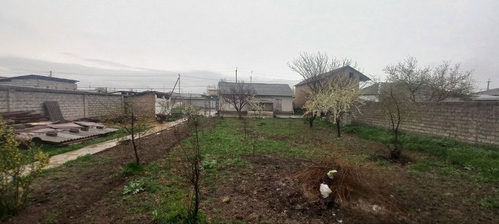 Sergeli Surumda er uchastkasi sotiladi 10 sotik