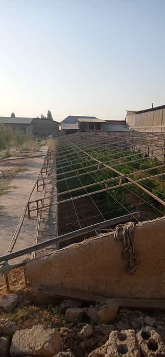 Ер участка  14 су́тик 1 су́тиги 5500 дан