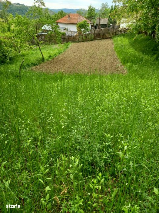 Teren de vanzare ideal casa de vacanta sat Blaju Comuna Tigveni