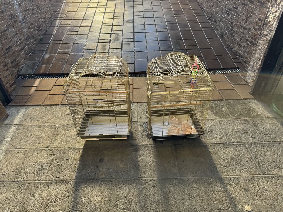 Vand 2 colivii pentru papagali