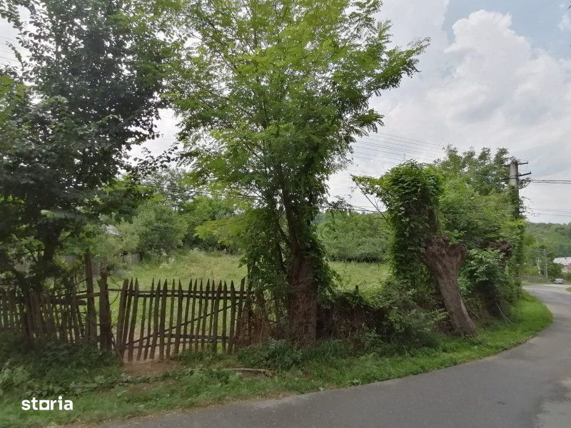 Curte 3025mp , Bughea de Jos, 5 min Valeni PH