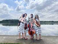 Cafe concert / primirea invitatilor / cvartet/duo