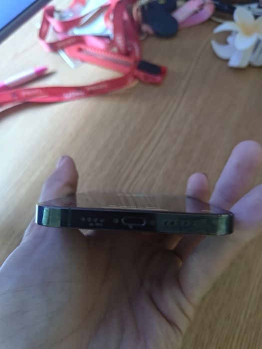 iPhone 13 Pro Max