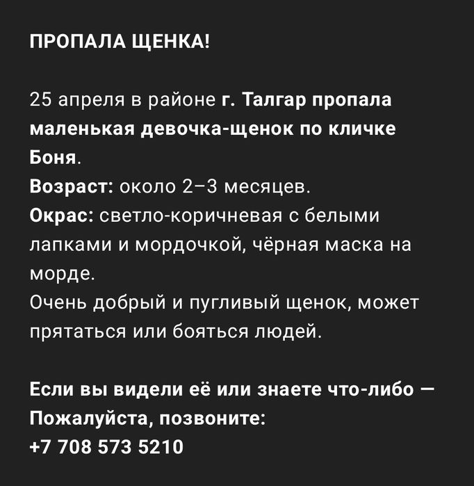 Прпала собачка боня