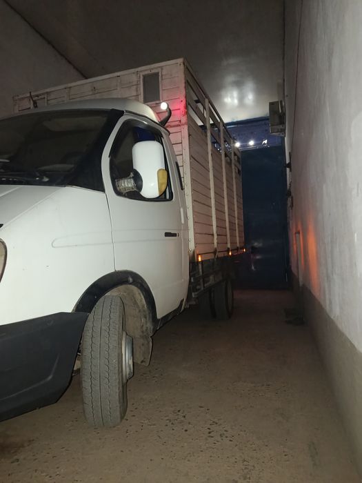 Газел сотилади срочно