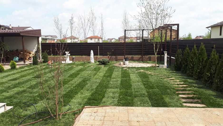 Gazon natural dens și uniform pentru curți de vis