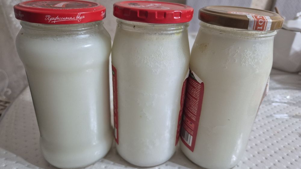 Барсучи жир продаю