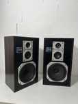 Vand boxe Pioneer CS-454