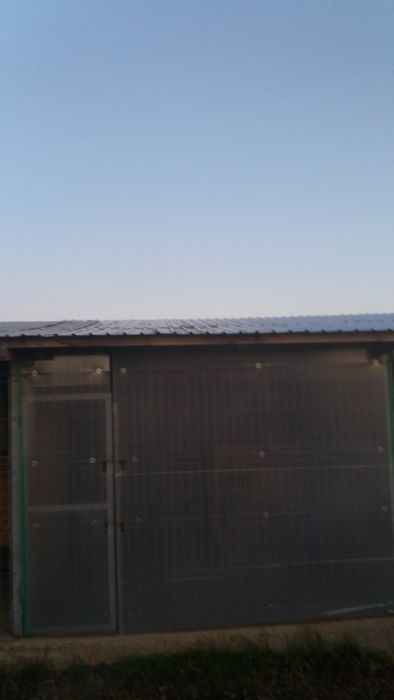 Cazare caini si catei