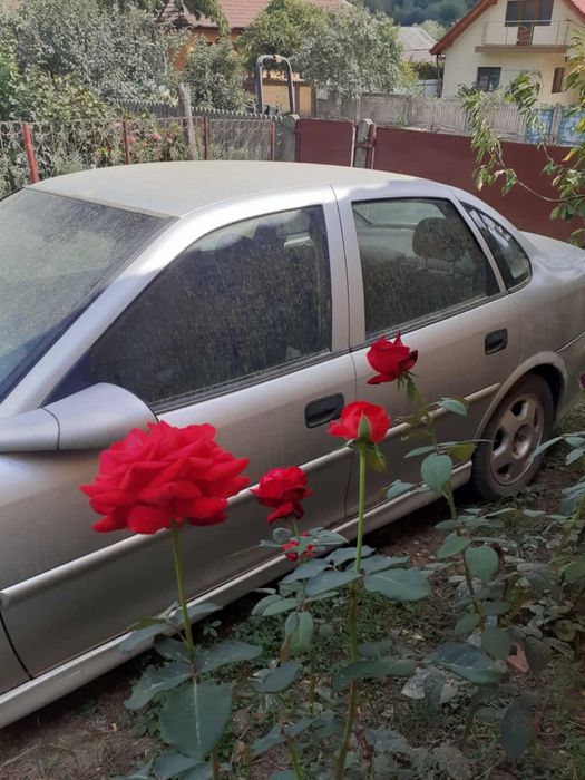 Opel Vectra, voucher rabla