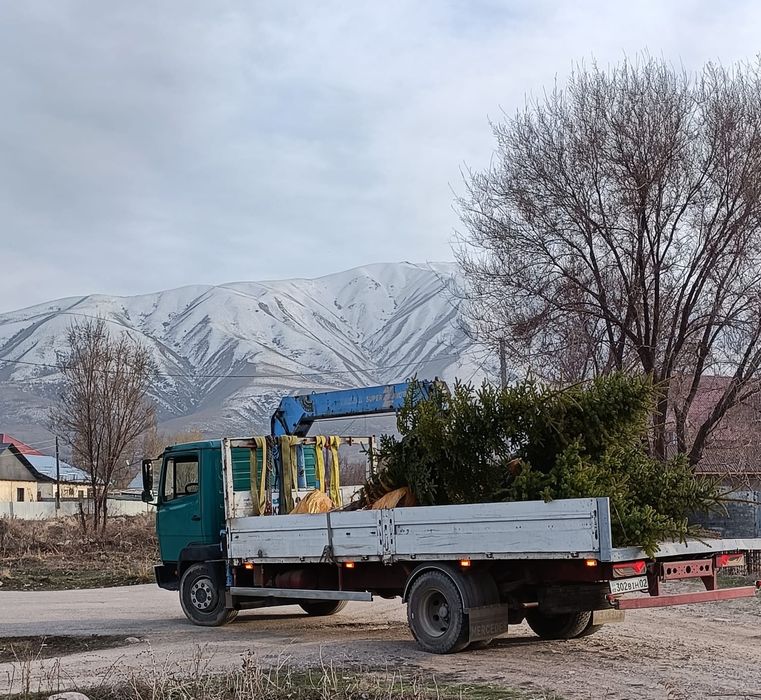 Услуги манипулятора по городу и области Алматы