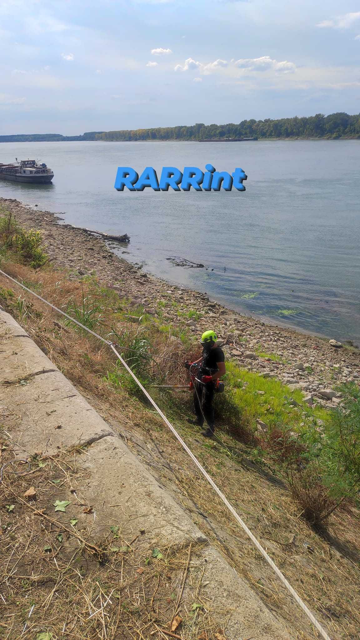 Професионална грижа за дървета, Арборист