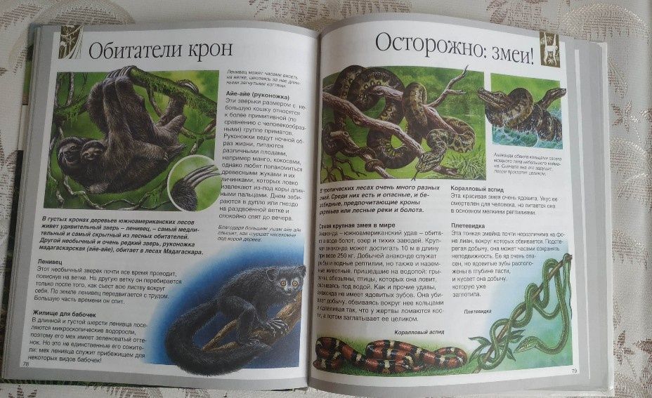 Две книги из Москвы за 150 тыс.( Обе вместе)