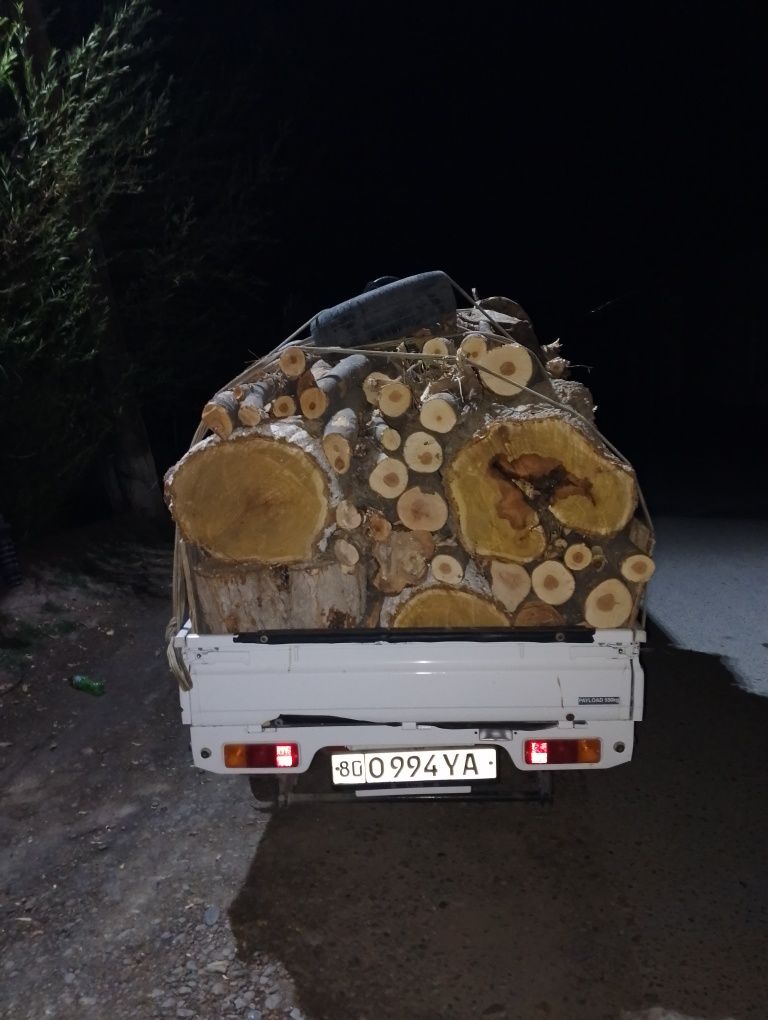 Oʻtin kunda tarosha утин sotiladi