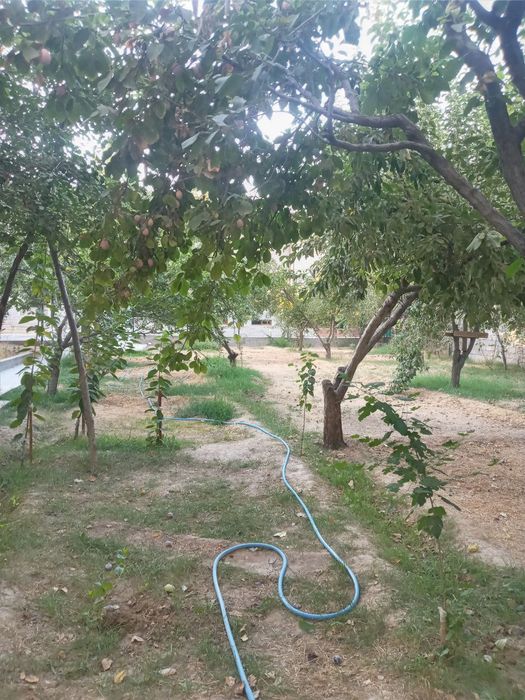 Zenith zavod tiklanish BEZ MAKLER